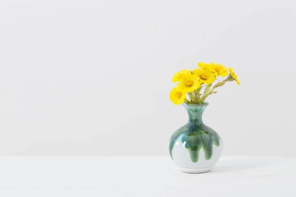Квіти Ніг Керамічній Вазі Білому Тлі — стокове фото