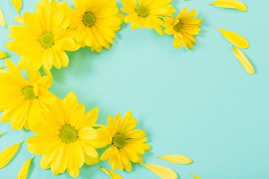 Yeşil kağıtta sarı kasımpatı