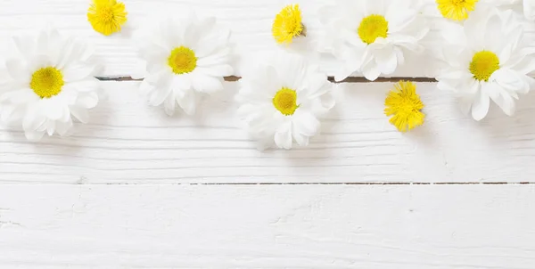 Crisantemo Blanco Patas Popa Amarillas Sobre Fondo Madera Blanco —  Fotos de Stock
