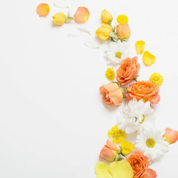 Bellissimo Motivo Floreale Giallo Arancione Sfondo Bianco — Foto Stock
