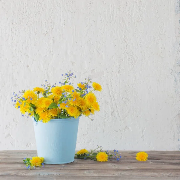 Dandelions Forget Nots Background White Wall — Stock Photo, Image