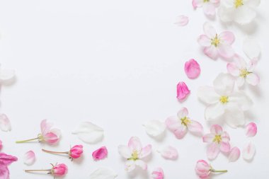 Beyaz arkaplanda pembe ve beyaz elma çiçekleri