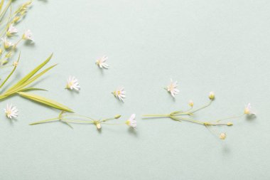 Kağıt arkaplanda yabani çiçekler