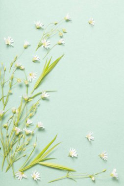 Kağıt arkaplanda yabani çiçekler