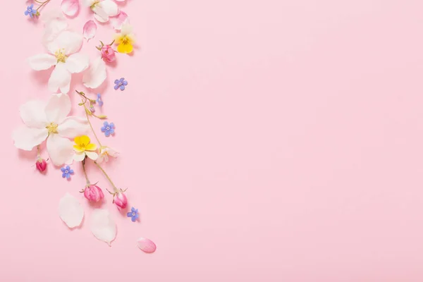 Fiori Primaverili Sfondo Rosa — Foto Stock