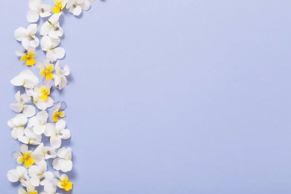 Viola Blommor Färgpapper Bakgrund — Stockfoto