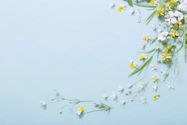Dzikie Kwiaty Papierowym Tle — Zdjęcie stockowe