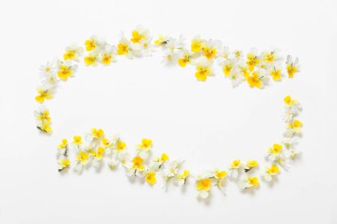 Beyaz arkaplanda viyola çiçekleri