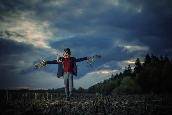 Scarecrow Stands Autumn Field Evening Sky — Stock Photo, Image