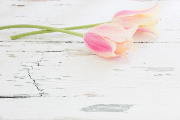 Rosa Und Gelbe Tulpen Auf Bemaltem Holzhintergrund — Stockfoto