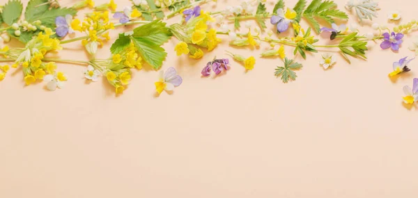 Wilde Blumen Auf Papier Hintergrund — Stockfoto