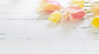 Boyanmış ahşap zemin üzerinde pembe ve sarı laleler