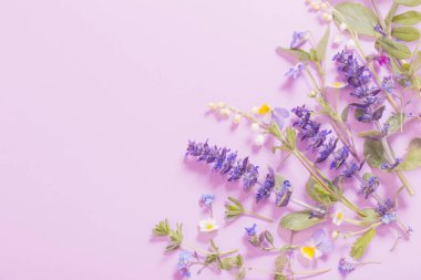 Pembe arka planda güzel yaz çiçekleri