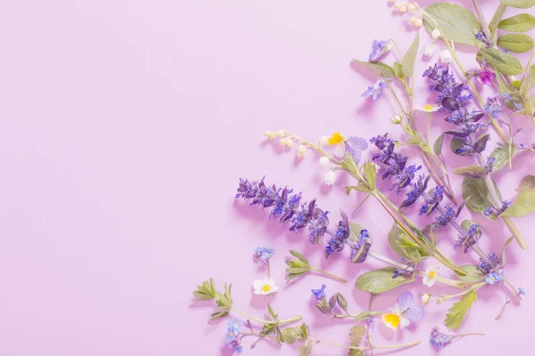 Pembe Arka Planda Güzel Yaz Çiçekleri — Stok fotoğraf