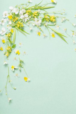 Kağıt arkaplanda yabani çiçekler