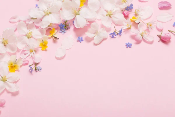 Vår Blommor Rosa Bakgrund — Stockfoto