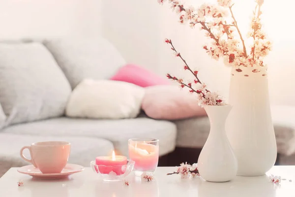 Primavera Flores Cor Rosa Vaso Interior Branco — Fotografia de Stock