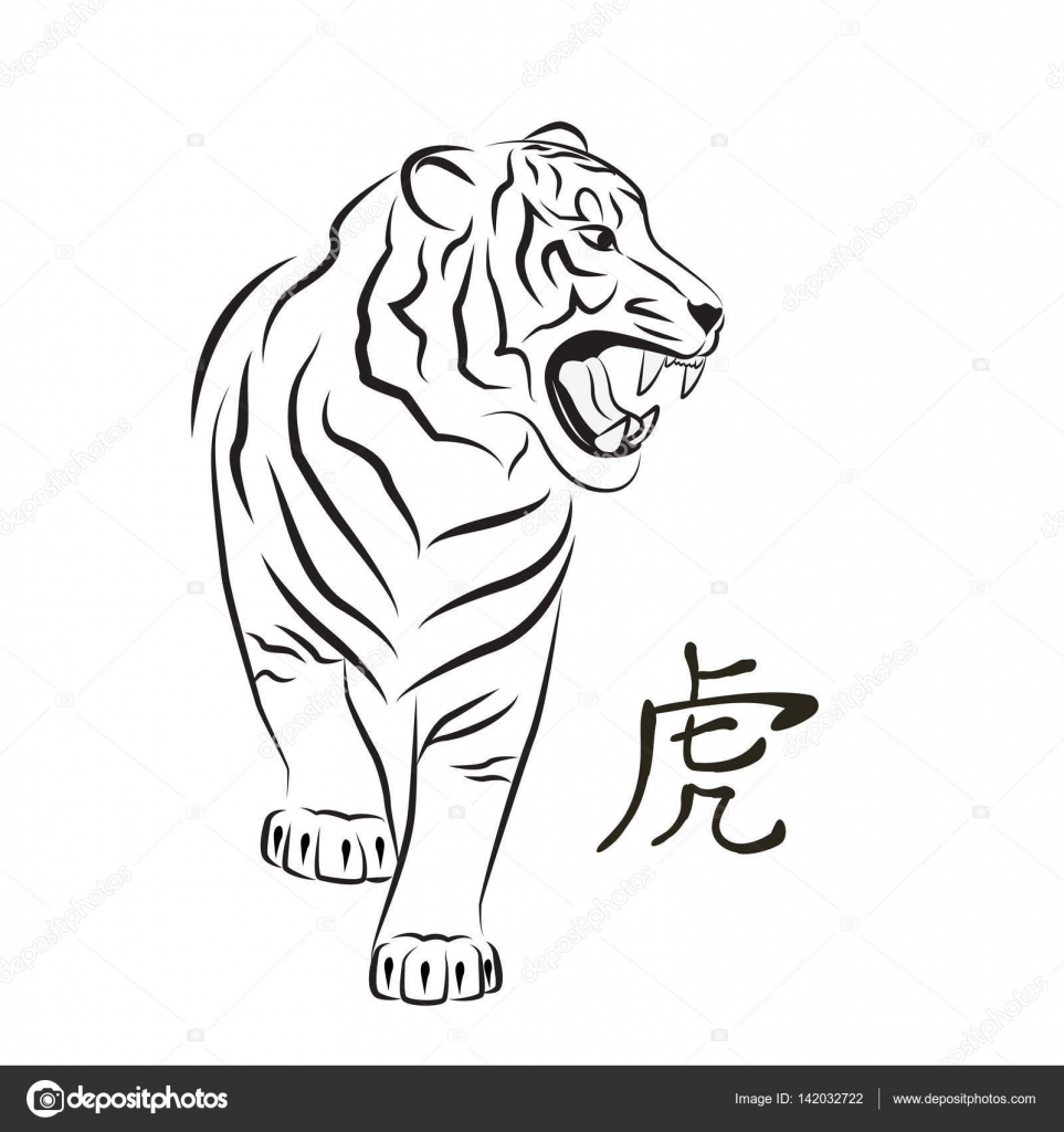 Angry tiger stock illustration. Illustration of sketch - 91575461