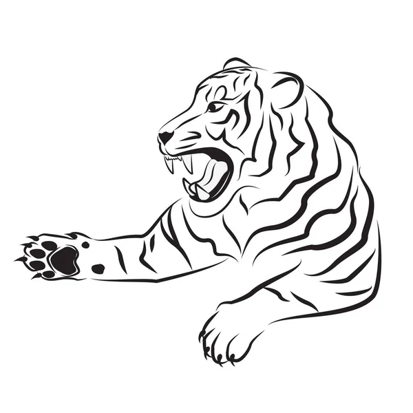 Angry tiger. Sketch. — Stock Vector