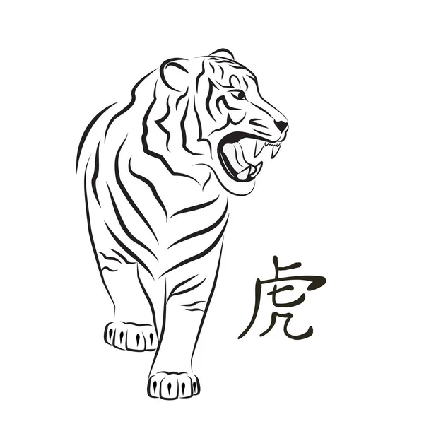Angry tiger. Skiss. — Stock vektor