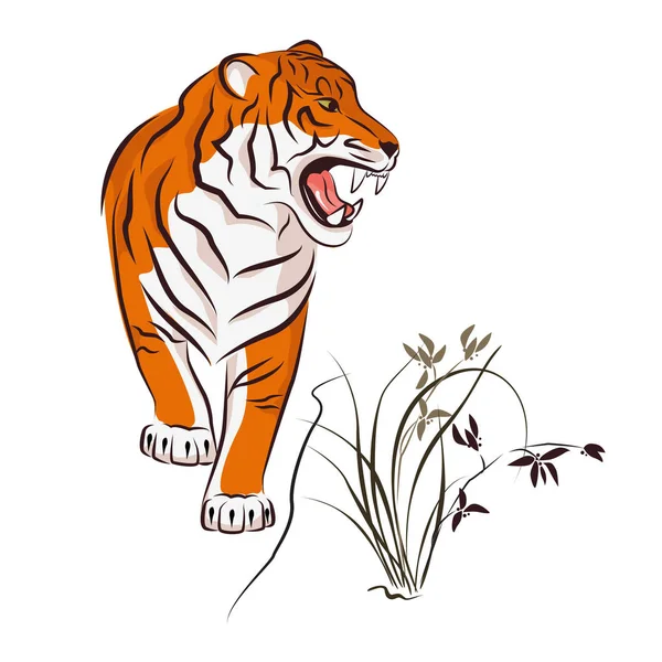 Dühös Tigris és a wild orchid illusztrációja. — Stock Vector