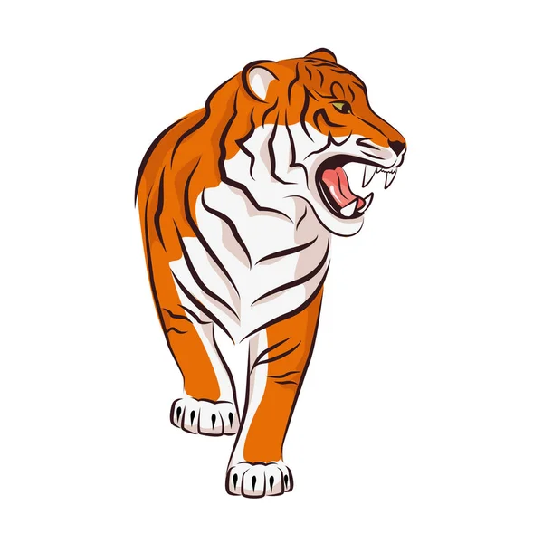 Vector illustration of angry tiger. — Stock Vector