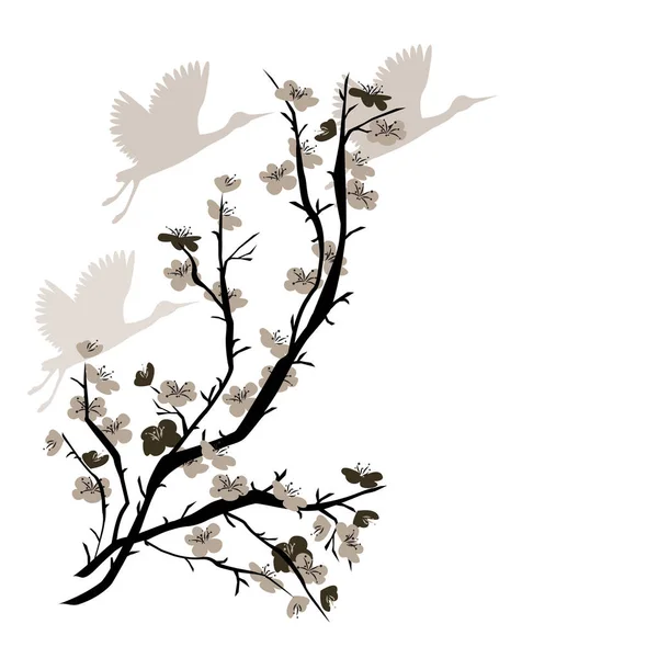 Ilustrace s čínská švestka strom a jeřáb ptáky. — Stockový vektor