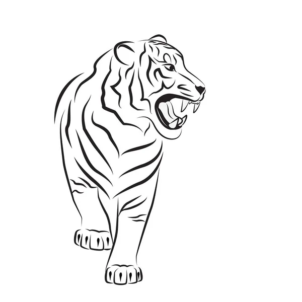 Tigre en colère de blanc . — Image vectorielle
