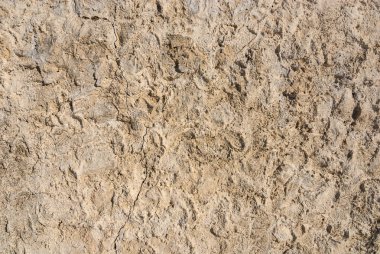 Duvar arka plan çürüdü