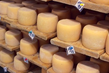 Peynir süt çiftliği'nin üretim mahzende yaşlanma