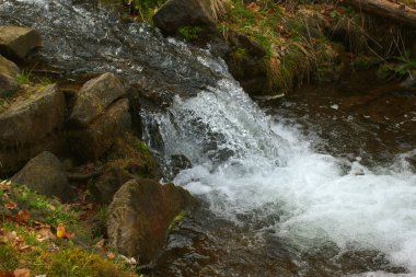 Taşlar üzerinde hızlı dağ deresi