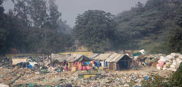 Koleksiyon sıralama ve çöp satış