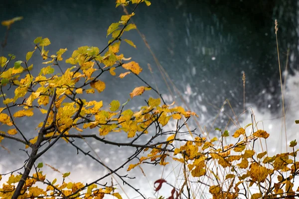Autumn, yellow leaves, waterfall — Stock Photo, Image