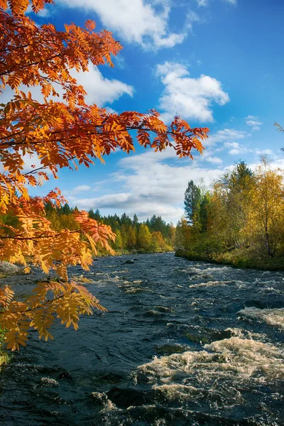 Automne, feuilles d'orange, cascade — Photo