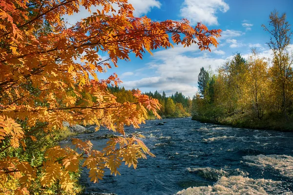 Autumn, orange leaves, cascade — Stock Photo, Image