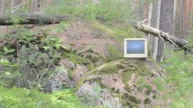 Her yerde bilgisayar. Eski monitör fırtına çam ormanlarının attı
