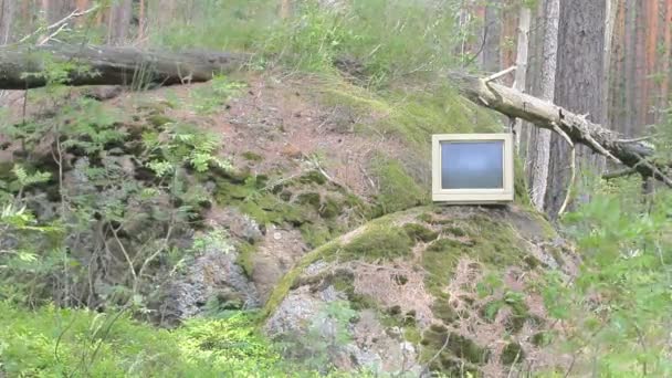 Allgegenwärtiger Computer. alter Monitor Sturm warf in Kiefernwälder — Stockvideo