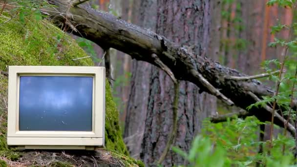 Computadora ubicua. Tormenta de monitor viejo tirado en bosques de pino — Vídeos de Stock