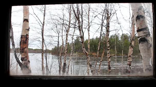 Ergens op de Noors-Russische grens. Uitzicht vanuit venster bij rivier Pasvikelva — Stockvideo