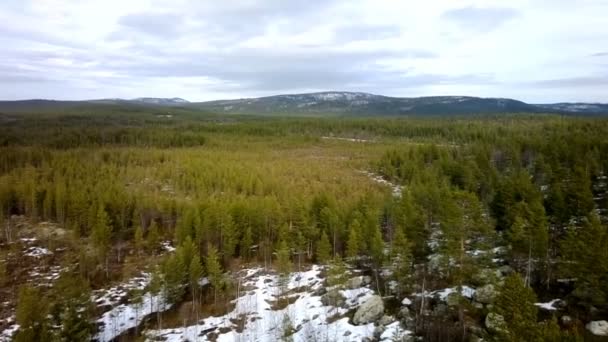 Welkom bij kerst 2. Bird's eye panorama van Lapland taiga — Stockvideo