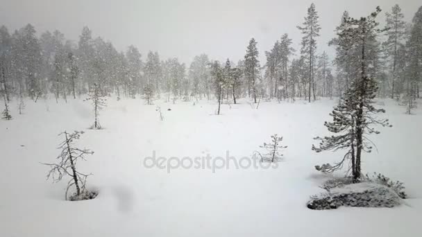 Erster Schnee 3. Dichter, großer Schnee fällt über Wald — Stockvideo