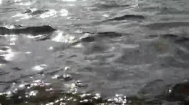 sessizce küçük gölün kıyısında tur su