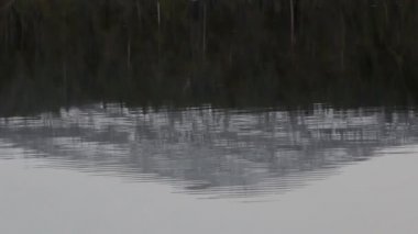 Dağlar ve ormanlar su yansımasıdır. Serap