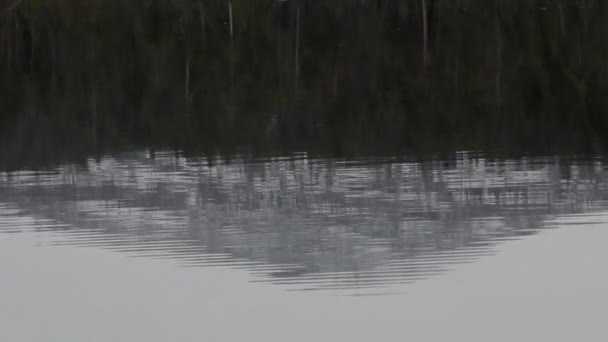 Reflejo de montañas y bosques en el agua. Fata Morgana — Vídeo de stock