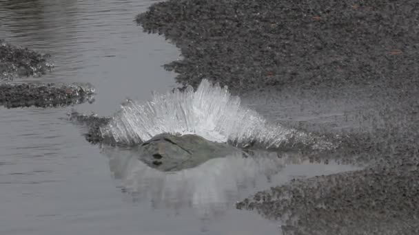 Inconspicuous nature. As ice breaks up in spring lake — Stock Video