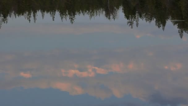 Evening sunset magic, which is reflected in slow waters of river — Stock Video