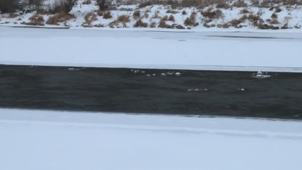 Mountain river, landfast is, snö, skog i Sibirien — Stockvideo