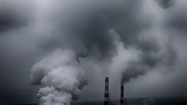 Planta de coque en el norte en invierno — Vídeos de Stock