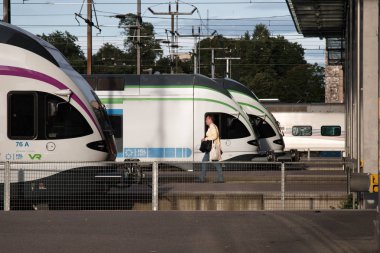 Yüksek hızlı şehirlerarası trenler Finlandiya