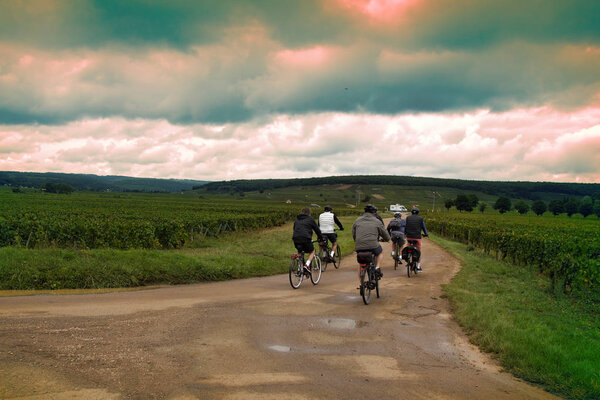 Cycling tour through fields at countryside of respectable cyclists